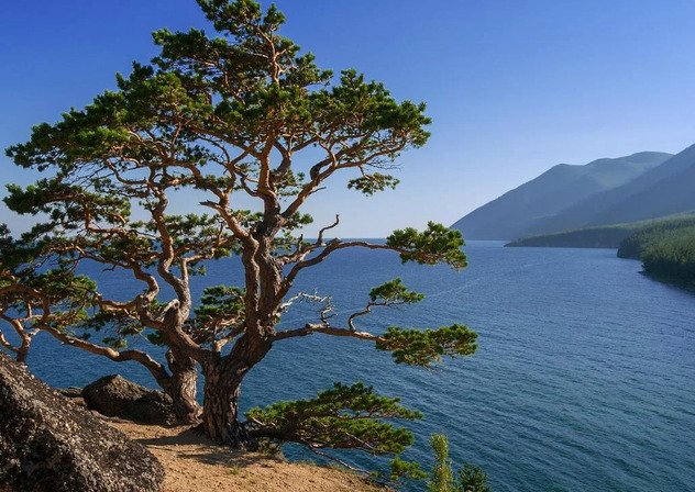 Глава БТСР призвал Госдуму не спешить с принятием закона о Байкале