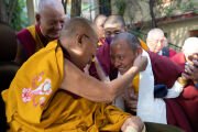 Туксе Ринпоче приветствует Его Святейшество Далай-ламу, когда тот направляется в главный тибетский храм, чтобы принять участие в молебне о долголетии, который ему подносят представители традиции друкпа кагью. Дхарамсала, штат Химачал-Прадеш, Индия. 2 апреля 2025 года. Фото: Тензин Чойджор (Офис ЕСДЛ)