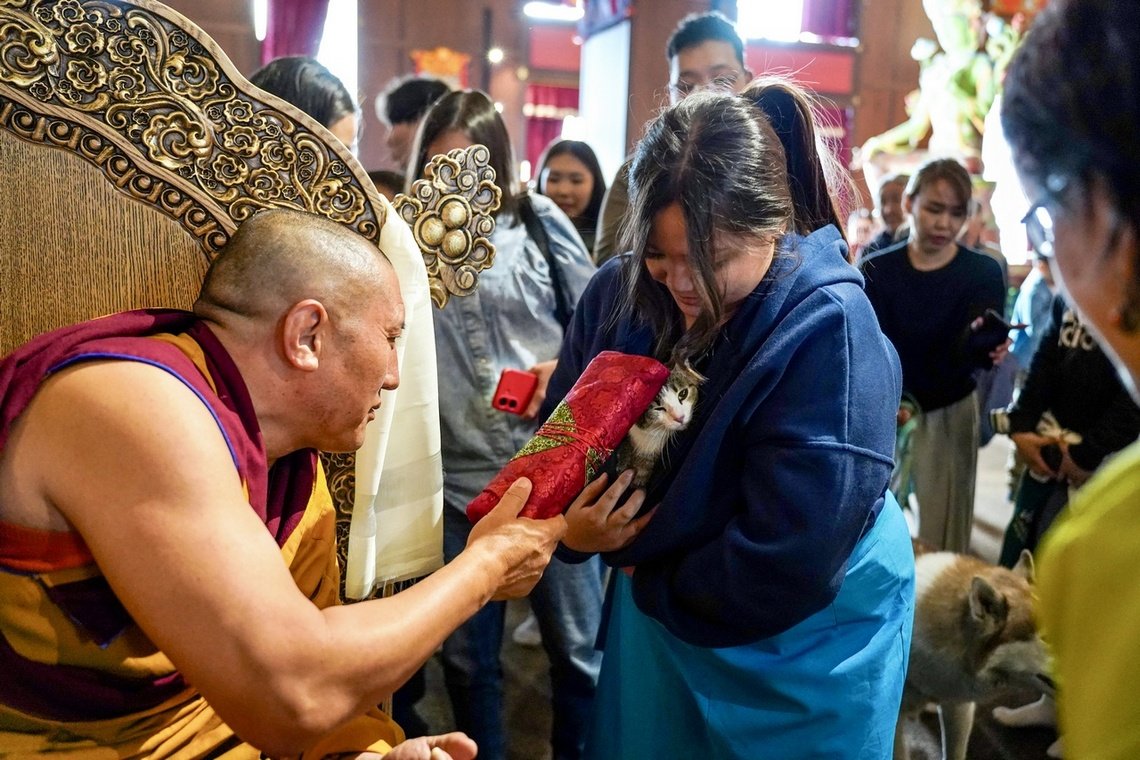 Фото. Спасенные и домашние животные Тувы получили буддийское благословение