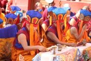 Фото: Menri Trizin