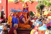 Фото: Menri Trizin