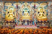 Фото: Penor Rinpoche Charity Foundation