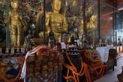 Фото: Shechen Monastery Nepal