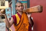 Фото: Shechen Monastery Nepal