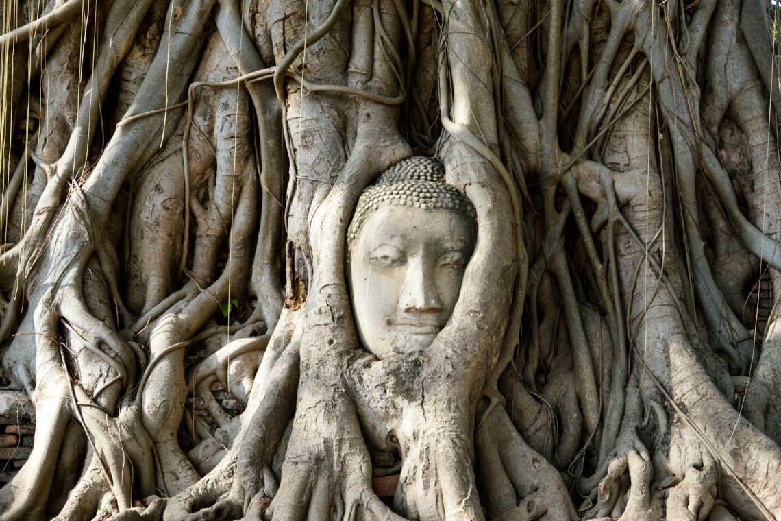 Модуль «Сансара и нирвана» программы «Открытие буддизма» стартует в ноябре в Москве