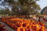Фото: Buddhist Monks