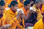 Фото: Penor Rinpoche Charity Foundation
