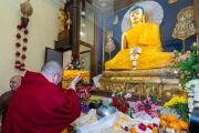 Фото: Penor Rinpoche Charity Foundation