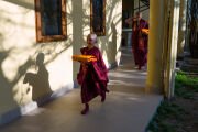 Юный кандидат в монахи-послушники направляется в зал в резиденции Его Святейшества Далай-ламы, где будет проходить церемония дарования обетов. Дхарамсала, штат Химачал-Прадеш, Индия. 27 февраля 2026 г. Фото: Тензин Чойджор
