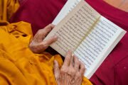 Участник церемонии читает молитвы из сборника во время молебна о долголетии Его Святейшеству Далай-ламе в главном тибетском храме. Дхарамсала, штат Химачал-Прадеш, Индия. 22 апреля 2026 г. Фото: Тензин Чойджор