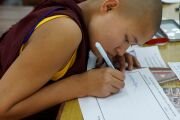 Фото: Tibetan Nuns Project, фотографии выполнены монахинями монастыря Долма Линг