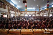 Фото: Palphung