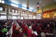Фото: Palphung