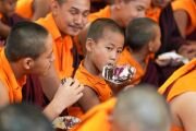 Фото: Penor Rinpoche Charity Foundation