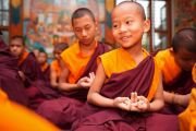 Фото: Penor Rinpoche Charity Foundation