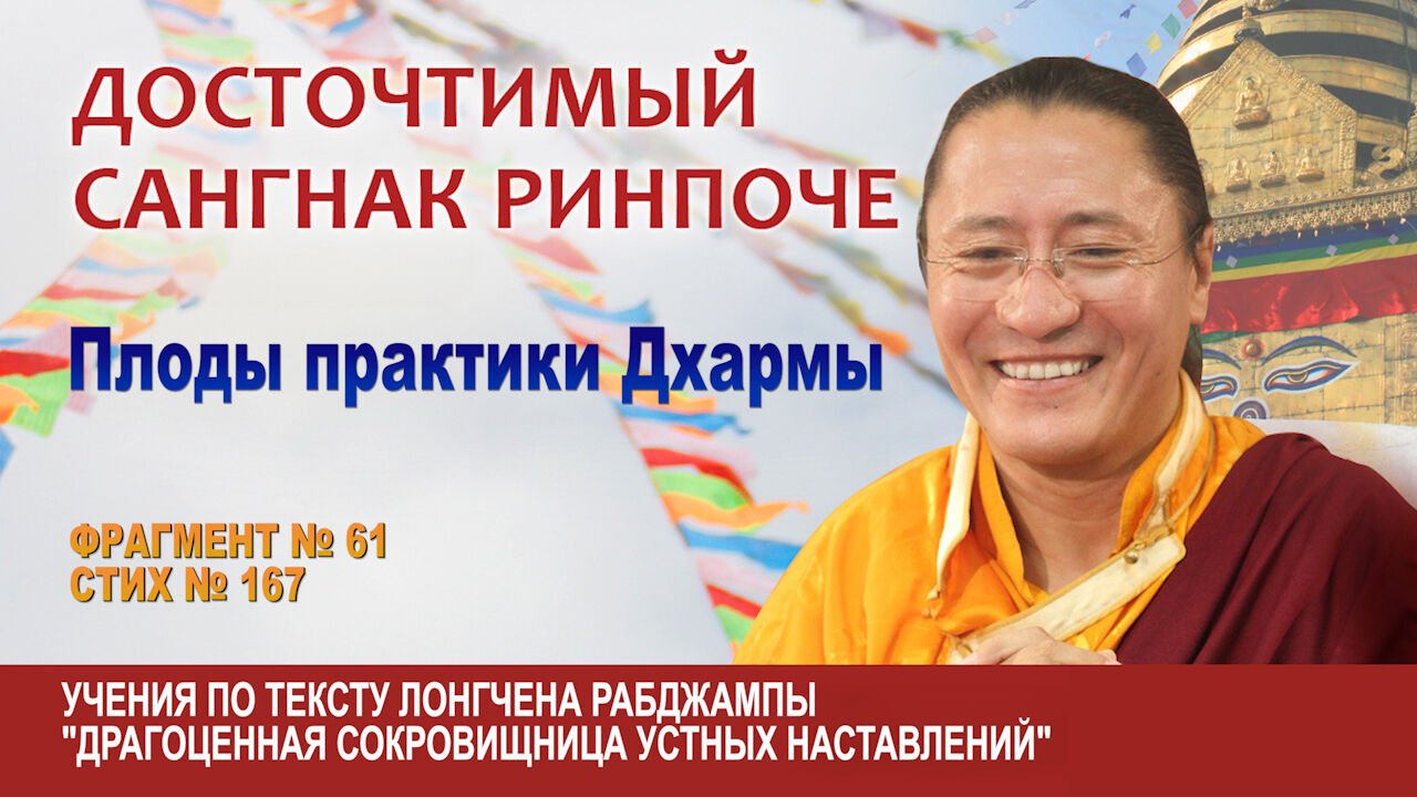 Видео. Сангнак Ринпоче. Плоды практики Дхармы
