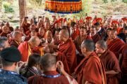 Фото: Karmapa